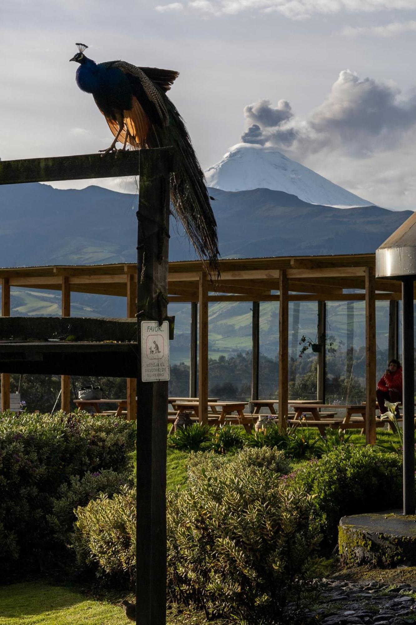 Hacienda El Rejo Βίλα Machachi Εξωτερικό φωτογραφία